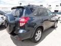 2009 Black Forest Pearl Toyota RAV4 Limited 4WD  photo #9