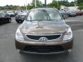 Sahara Bronze - Veracruz Limited AWD Photo No. 2