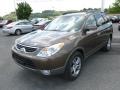 Sahara Bronze - Veracruz Limited AWD Photo No. 3