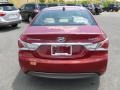 Venetian Red Pearl - Sonata Hybrid Photo No. 6