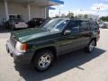 Moss Green Pearl - Grand Cherokee Laredo 4x4 Photo No. 8