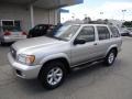 Chrome Silver Metallic - Pathfinder SE 4x4 Photo No. 8