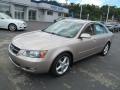 Golden Beige - Sonata LX V6 Photo No. 6