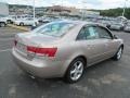 Golden Beige - Sonata LX V6 Photo No. 10