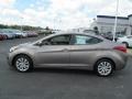 Desert Bronze - Elantra GLS Photo No. 5
