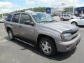 Graystone Metallic - TrailBlazer LS 4x4 Photo No. 1