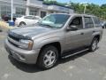 Graystone Metallic - TrailBlazer LS 4x4 Photo No. 5