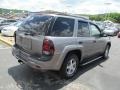 Graystone Metallic - TrailBlazer LS 4x4 Photo No. 9