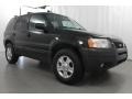 2004 Black Ford Escape XLT V6  photo #3