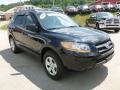 Ebony Black - Santa Fe GLS 4WD Photo No. 7