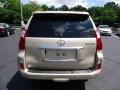 Satin Cashmere Metallic - GX 460 Premium Photo No. 3