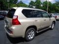 Satin Cashmere Metallic 2012 Lexus GX 460 Premium Exterior