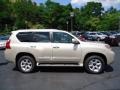 Satin Cashmere Metallic 2012 Lexus GX 460 Premium Exterior