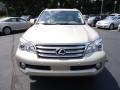 Satin Cashmere Metallic - GX 460 Premium Photo No. 7