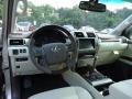 Satin Cashmere Metallic - GX 460 Premium Photo No. 13