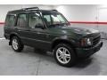2004 Epsom Green Land Rover Discovery SE  photo #1