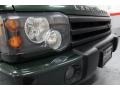 2004 Epsom Green Land Rover Discovery SE  photo #11