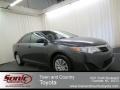 Magnetic Gray Metallic - Camry L Photo No. 1