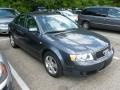 Dolphin Gray Pearl 2003 Audi A4 3.0 quattro Sedan