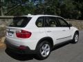 Alpine White - X5 xDrive30i Photo No. 14