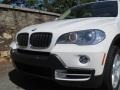 Alpine White - X5 xDrive30i Photo No. 23