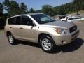 2007 Savannah Metallic Toyota RAV4 4WD  photo #1