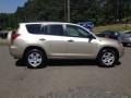 2007 Savannah Metallic Toyota RAV4 4WD  photo #2