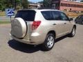 2007 Savannah Metallic Toyota RAV4 4WD  photo #3