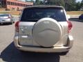 2007 Savannah Metallic Toyota RAV4 4WD  photo #4