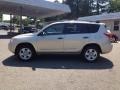 2007 Savannah Metallic Toyota RAV4 4WD  photo #6