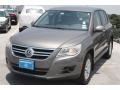 Alpine Grey Metallic - Tiguan S Photo No. 3
