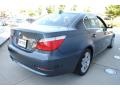 Platinum Grey Metallic - 5 Series 528xi Sedan Photo No. 5