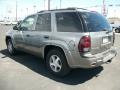 Graystone Metallic - TrailBlazer LS 4x4 Photo No. 2