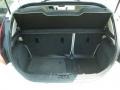 Cashmere/Charcoal Black Leather Trunk Photo for 2011 Ford Fiesta #67234893