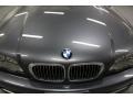 2002 Steel Grey Metallic BMW 3 Series 330i Coupe  photo #10