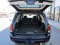 2009 Imperial Blue Metallic Chevrolet TrailBlazer LT 4x4  photo #28