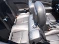 Blackberry Pearl Coat - 200 Limited Convertible Photo No. 5
