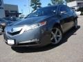 2010 Polished Metal Metallic Acura TL 3.5 Technology  photo #1