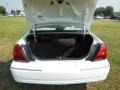 2006 Vibrant White Mercury Grand Marquis LS  photo #3