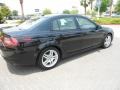 Nighthawk Black Pearl - TL 3.2 Photo No. 5