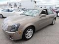 Light Platinum - CTS Sedan Photo No. 2