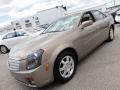 Light Platinum - CTS Sedan Photo No. 3