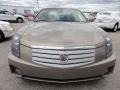 Light Platinum - CTS Sedan Photo No. 4
