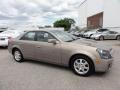 Light Platinum - CTS Sedan Photo No. 7