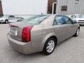 Light Platinum - CTS Sedan Photo No. 9