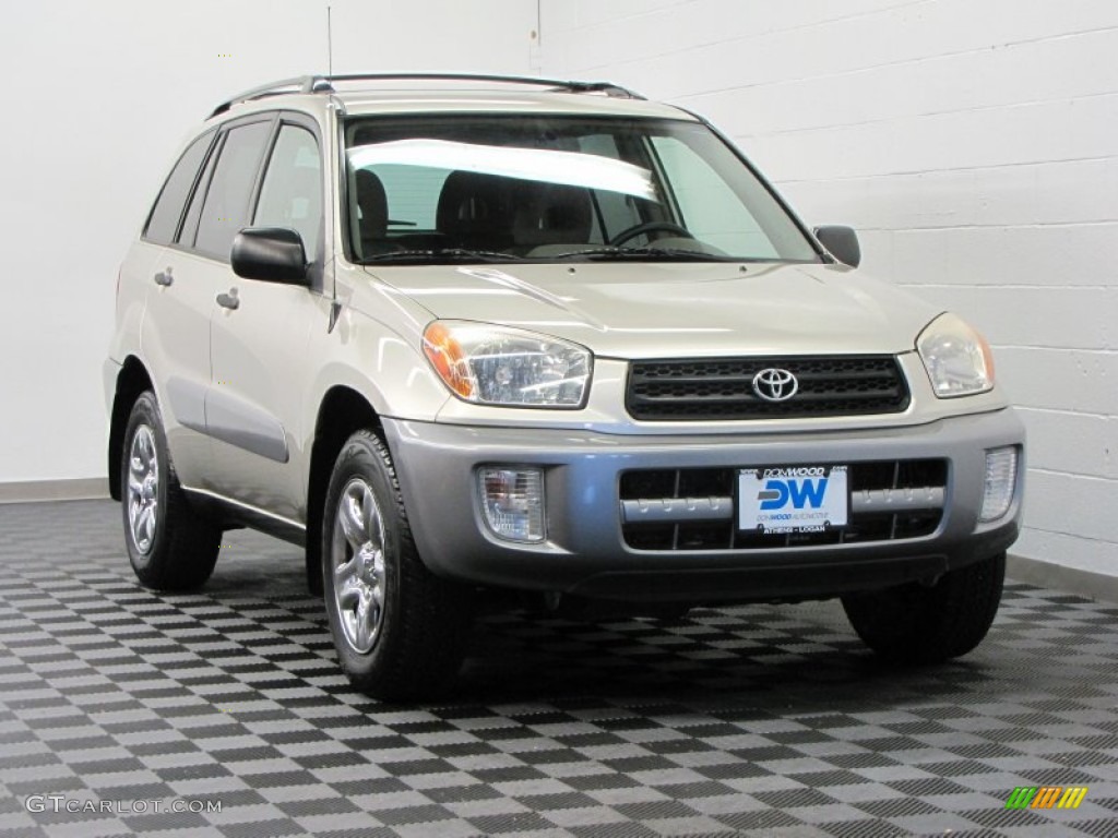 2003 RAV4 4WD - Vintage Gold / Gray photo #1