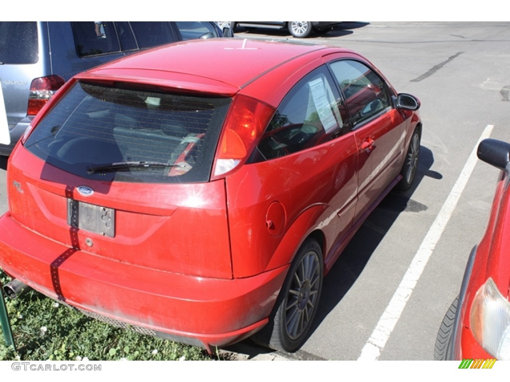 2003 Focus SVT Hatchback - Infra-Red / Medium Graphite photo #2