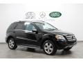 Black - ML 350 4Matic Photo No. 1
