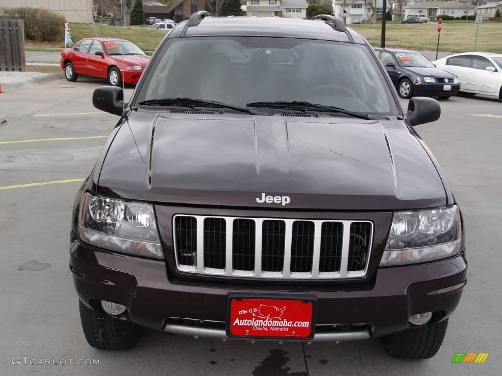 2004 Grand Cherokee Special Edition 4x4 - Deep Lava Red Metallic / Dark Slate Gray photo #30