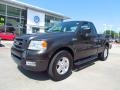 Dark Stone Metallic 2005 Ford F150 XL Regular Cab